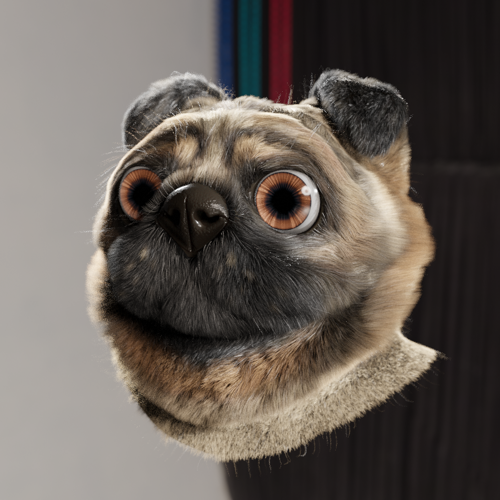 Pug head (with fur) preview image